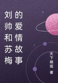 劉帥和蘇梅的愛情故事 封面