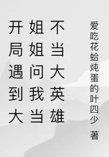 開局遇到大姐姐問我當不當大英雄 封面