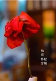 恰在懷念時 封面