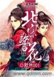 北宋警花 封面