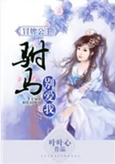 冒牌公主：駙馬別愛我 封面