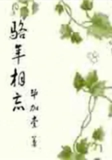 駱年相忘 封面