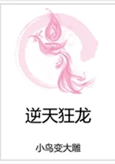 逆天狂龍 封面