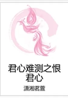 君心難測之恨君心 封面