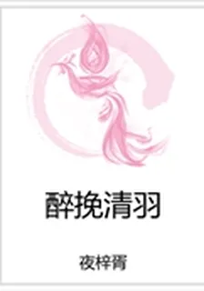 醉挽清羽 封面