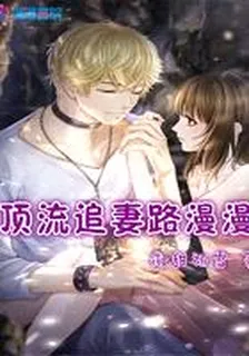 頂流追妻路漫漫 封面