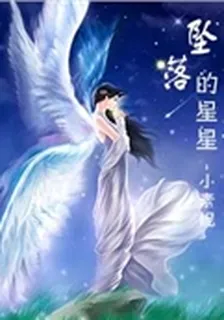 墜落的星星 封面