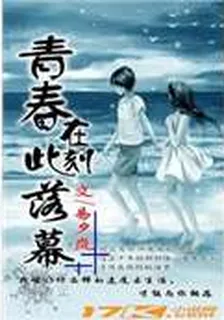 青春在此刻落幕 封面