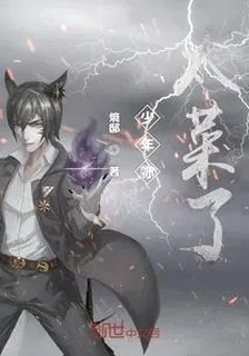 少年你太菜了 封面