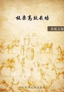 板栗高效栽培 封面