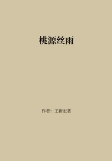桃源絲雨 封面
