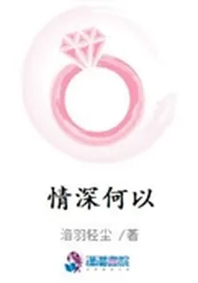 情深何以 封面