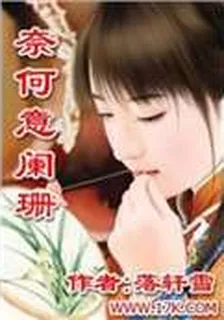 奈何意闌珊 封面