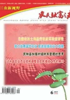 農民致富之友(2015年12期) 封面