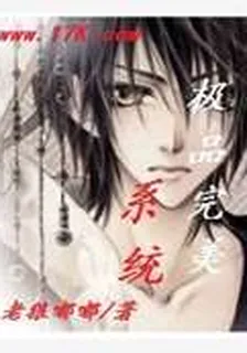極品完美系統 封面