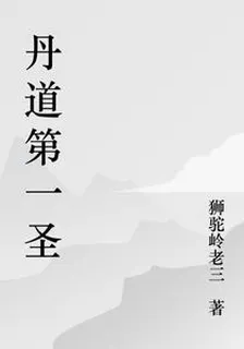丹道第一聖 封面