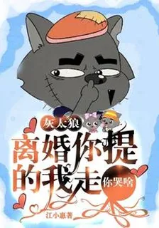 灰太狼：離婚你提的，我走你哭啥 封面