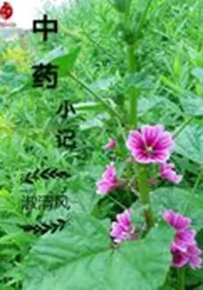 中藥小記 封面