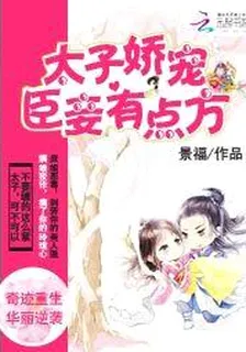 太子嬌寵：臣妾有點方 封面