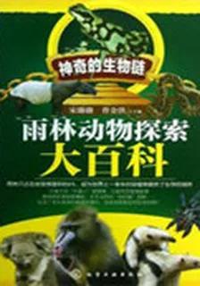 雨林動物探索大百科 封面