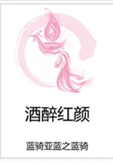 酒醉紅顏 封面