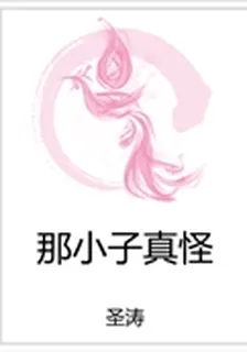那小子真怪 封面