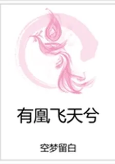 有凰飛天兮 封面
