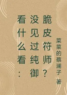 看什麼看：沒見過純御脆皮符師？ 封面