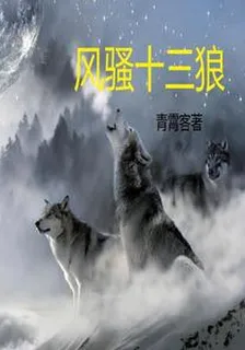 風騷十三狼 封面