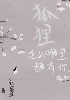 狐狸，怎麼哪裏都有你 封面