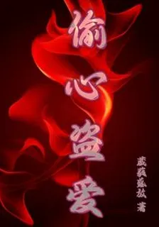 偷心盜愛 封面