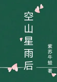 空山星雨後 封面