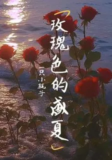 玫瑰色的盛夏 封面