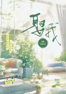 要娶我 封面