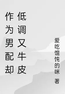 作爲男配卻低調又牛皮 封面
