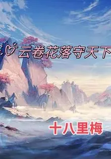 雲卷花落守天下 封面
