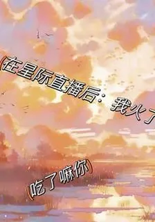 在星際直播後：我火了 封面