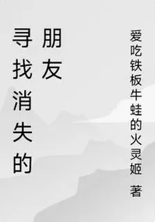 尋找消失的朋友 封面