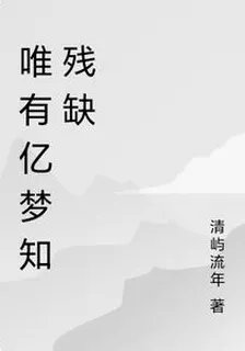 唯有億夢知殘缺 封面