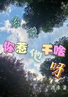 你說，你惹他幹啥呀 封面