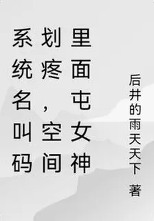 系統名叫碼劃疼， 封面