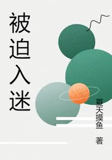 被迫入迷 封面