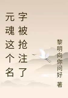 元魂這個名字被搶注了 封面