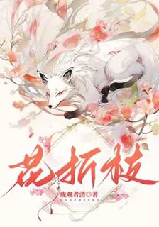 花折枝 封面