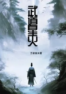 武道星火 封面