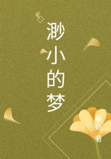 渺小的夢 封面