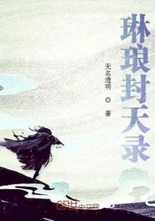 琳琅封天錄 封面