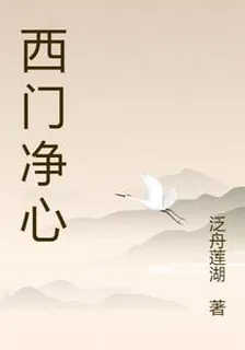 西門淨心 封面