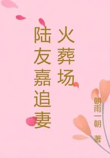 陸友嘉追妻火葬場 封面