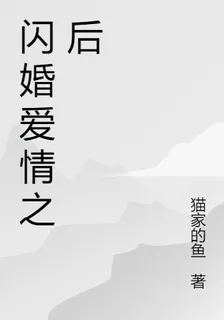 閃婚愛情之後 封面